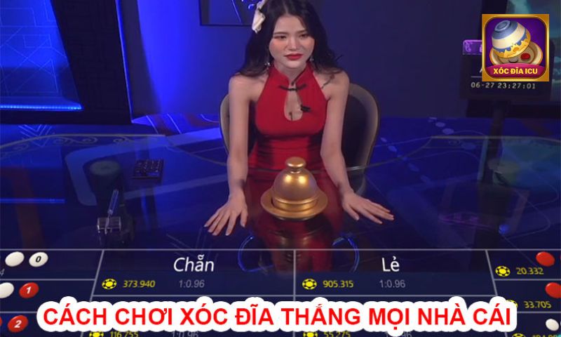 Hướng dẫn chơi xóc đĩa tại nhà cái Dubai Casino cho người mới