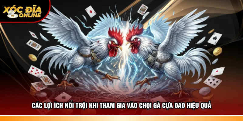 Hiểu rõ lợi ích nổi trội khi tham gia vào chọi gà cựa dao