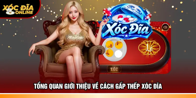 Tổng quan giới thiệu về cách gấp thếp xóc đĩa