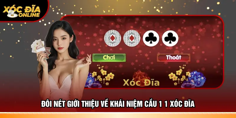 Đôi nét giới thiệu về khái niệm cầu 1 1 xóc đĩa