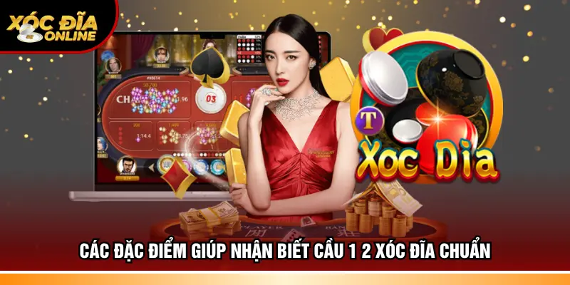 Các đặc điểm giúp nhận biết cầu 1 2 xóc đĩa chuẩn