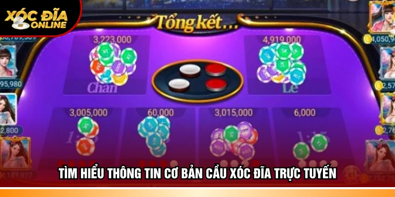 Khám phá thông tin cơ bản cầu xóc đĩa trực tuyến