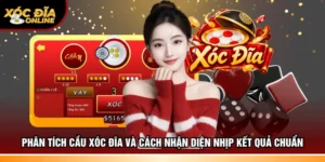Phân tích cầu xóc đĩa